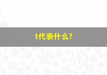 t代表什么?