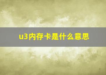 u3内存卡是什么意思