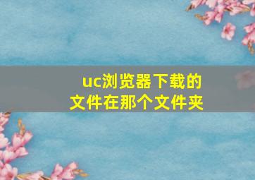 uc浏览器下载的文件在那个文件夹