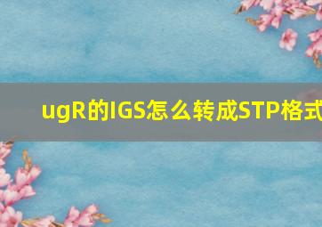 ugR的IGS怎么转成STP格式
