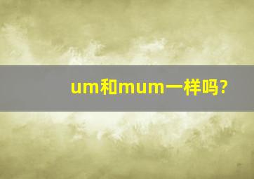 um和μm一样吗?