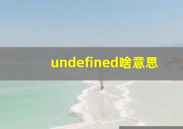 undefined啥意思