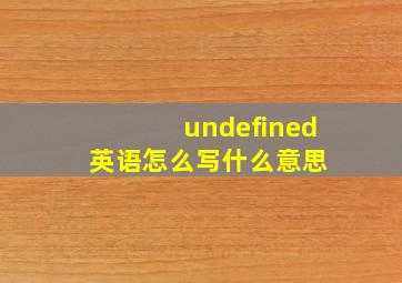 undefined英语怎么写  什么意思 