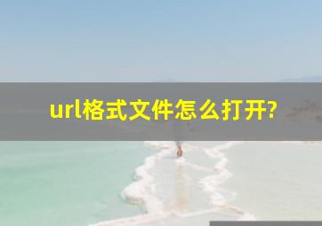 url格式文件怎么打开?