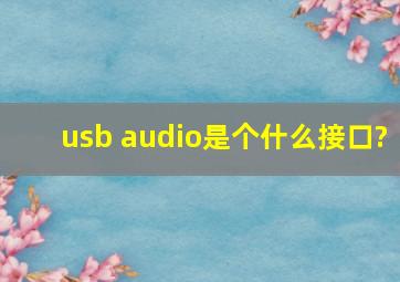 usb audio是个什么接口?