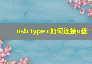 usb type c如何连接u盘