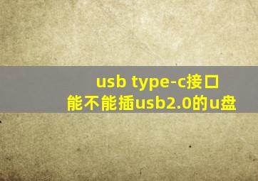 usb type-c接口能不能插usb2.0的u盘
