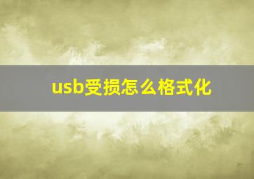 usb受损怎么格式化(