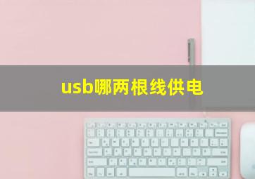 usb哪两根线供电