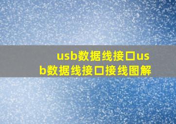 usb数据线接口(usb数据线接口接线图解)