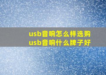 usb音响怎么样选购usb音响什么牌子好