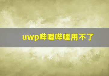 uwp哔哩哔哩用不了