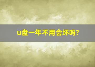 u盘一年不用会坏吗?