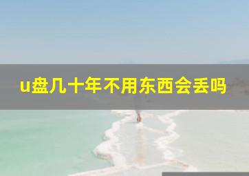 u盘几十年不用东西会丢吗