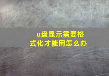 u盘显示需要格式化才能用怎么办