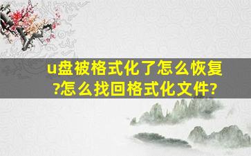 u盘被格式化了怎么恢复?怎么找回格式化文件?