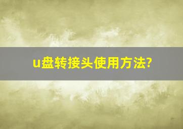 u盘转接头使用方法?