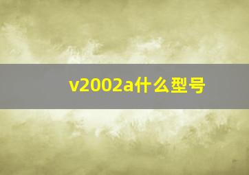 v2002a什么型号(