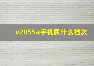 v2055a手机属什么档次