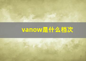 vanow是什么档次