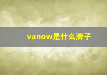 vanow是什么牌子