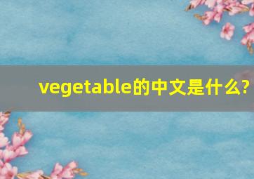 vegetable的中文是什么?