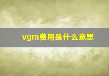 vgm费用是什么意思