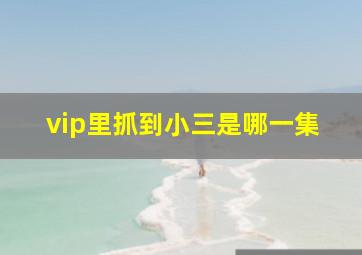 vip里抓到小三是哪一集