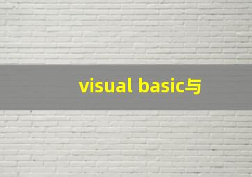 visual basic与