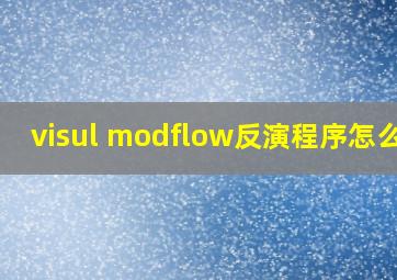 visul modflow反演程序怎么用