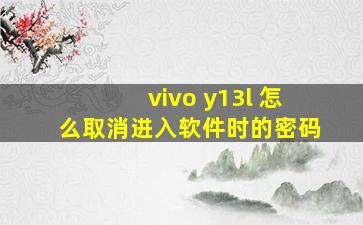 vivo y13l 怎么取消进入软件时的密码