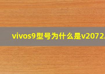 vivos9型号为什么是v2072A?