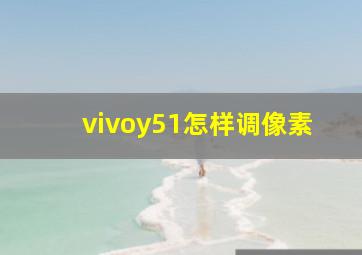 vivoy51怎样调像素(