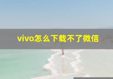 vivo怎么下载不了微信(