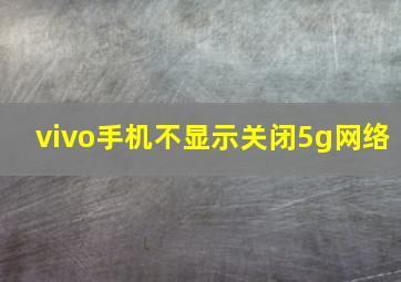 vivo手机不显示关闭5g网络