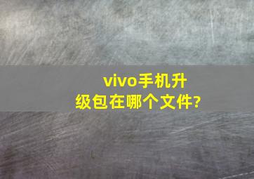 vivo手机升级包在哪个文件?