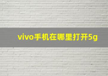 vivo手机在哪里打开5g