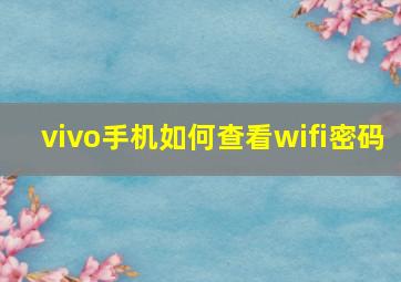 vivo手机如何查看wifi密码