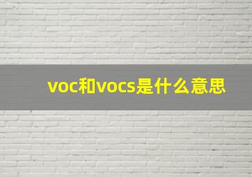 voc和vocs是什么意思
