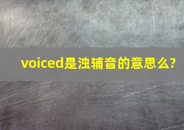 voiced是浊辅音的意思么?