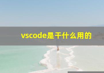 vscode是干什么用的