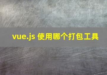 vue.js 使用哪个打包工具