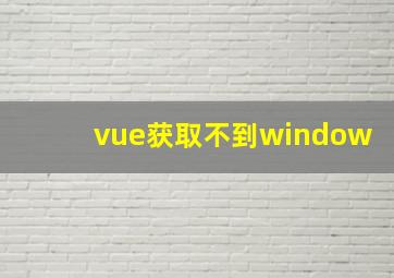 vue获取不到window