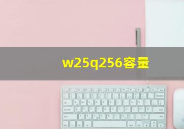 w25q256容量