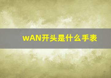 wAN开头是什么手表