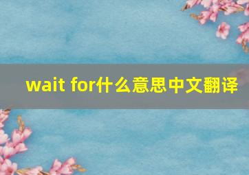 wait for什么意思中文翻译