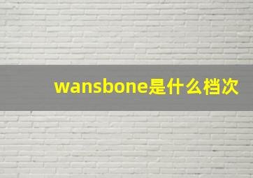 wansbone是什么档次