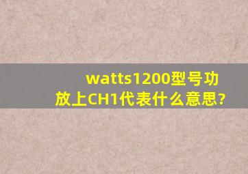 watts1200型号功放上CH1代表什么意思?