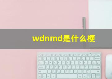 wdnmd是什么梗