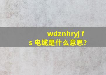 wdznhryj (f) s 电缆是什么意思?